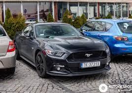 Mustang main image